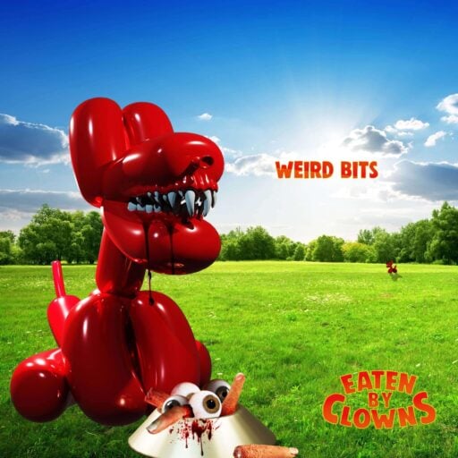 Weird Bits album cover